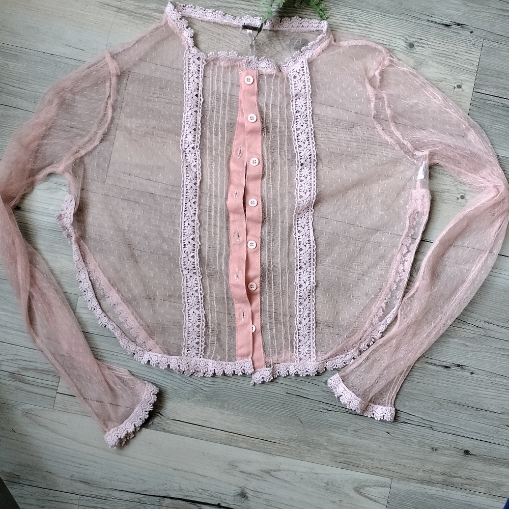 Soft pink sheer blouse